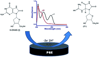 Graphical abstract: Electrochemical investigations of 8-hydroxydeoxyguanosine and its determination at an edge plane pyrolytic graphite electrode