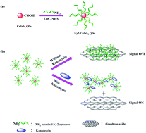 Graphical abstract: A novel aptamer-mediated CuInS2 quantum dots@graphene oxide nanocomposites-based fluorescence “turn off–on” nanosensor for highly sensitive and selective detection of kanamycin