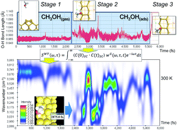 Graphical abstract: A novel theoretical study of thermally-induced reaction and vibration dynamics of methanol dissociative adsorption onto a Si(001) surface