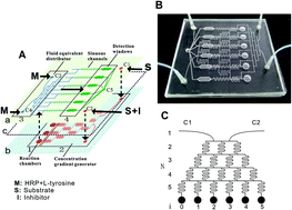 Graphical abstract: An immobilization multienzyme microfluidic chip for acetylcholinesterase inhibition assay by fluorescence method