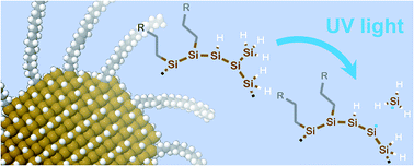 Graphical abstract: Photostability of thermally-hydrosilylated silicon quantum dots