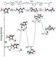 Graphical abstract: Mechanistic insights into the ring-opening of biomass derived lactones