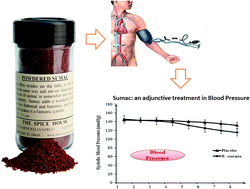 Graphical abstract: Sumac as a novel adjunctive treatment in hypertension: a randomized, double-blind, placebo-controlled clinical trial