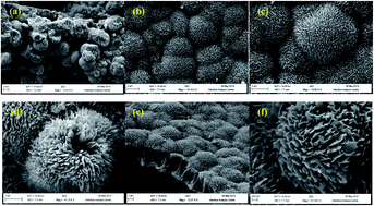 Graphical abstract: A highly selective and sensitive electrochemical determination of melamine based on succinic acid functionalized copper oxide nanostructures