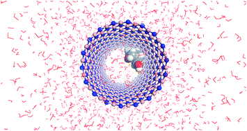 Graphical abstract: Molecular dynamics simulation study of boron-nitride nanotubes as a drug carrier: from encapsulation to releasing