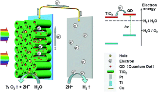 Graphical abstract: Improving photoelectrochemical performance of highly-ordered TiO2 nanotube arrays with cosensitization of PbS and CdS quantum dots