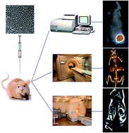 Graphical abstract: Core–shell BaYbF5:Tm@BaGdF5:Yb,Tm nanocrystals for in vivo trimodal UCL/CT/MR imaging