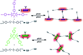 Graphical abstract: BODIPY based self-healing fluorescent gel formation via acylhydrazone linkage