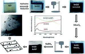 Graphical abstract: Characteristics of ultrasonication assisted assembly of gold nanoparticles in hydrazine reduced graphene oxide