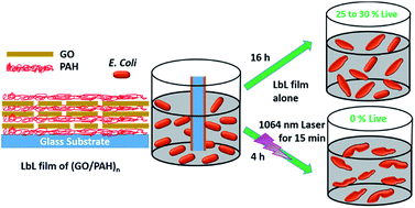 Graphical abstract: Synergistic photothermal antimicrobial therapy using graphene oxide/polymer composite layer-by-layer thin films