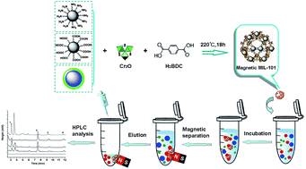 Graphical abstract: Hydrothermal synthesis of functionalized magnetic MIL-101 for magnetic enrichment of estrogens in environmental water samples