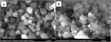 Graphical abstract: Production of renewable aviation fuel range alkanes from algae oil