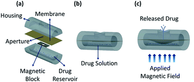 Graphical abstract: A cylindrical magnetically-actuated drug delivery device proposed for minimally invasive treatment of prostate cancer