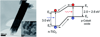 Graphical abstract: Cobalt oxide nanoparticles on TiO2 nanorod/FTO as a photoanode with enhanced visible light sensitization