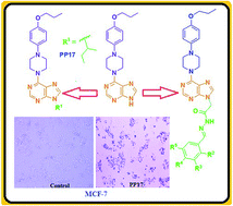 Graphical abstract: Synthesis of novel N-9 substituted 6-(4-(4-propoxyphenyl)piperazin-1-yl)-9H-purine derivatives as inducers of apoptosis in MCF-7 breast cancer cells