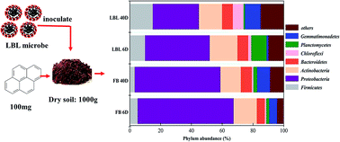 Graphical abstract: A new approach for pyrene bioremediation using bacteria immobilized in layer-by-layer assembled microcapsules: dynamics of soil bacterial community