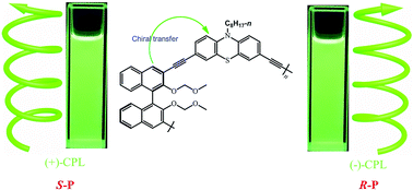 Graphical abstract: CPL emission of chiral BINOL-based polymers via chiral transfer of the conjugated chain backbone structure