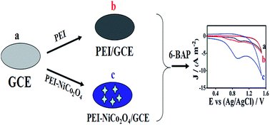 Graphical abstract: Highly sensitive and stabilized sensing of 6-benzylaminopurine based on NiCo2O4 nanosuperstructures