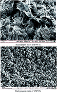 Graphical abstract: Fractals in carbon nanotube buckypapers