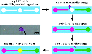 Graphical abstract: A simple method for fabrication of microfluidic paper-based analytical devices and on-device fluid control with a portable corona generator