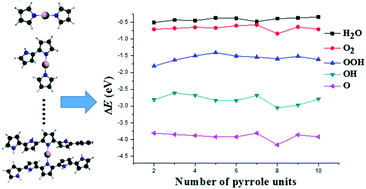 Graphical abstract: Oxygen reduction reaction on cobalt–(n)pyrrole clusters from DFT studies