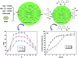 Graphical abstract: Thermo-chemical modification to produce citric acid–yeast superabsorbent composites for ketoprofen delivery