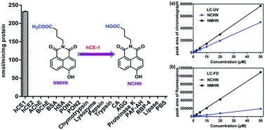 Graphical abstract: A highly selective marker reaction for measuring the activity of human carboxylesterase 1 in complex biological samples