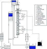 Graphical abstract: Hydrodynamics of a cocurrent downward liquid–liquid extraction column