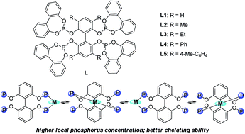 Graphical abstract: New tetraphosphite ligands for regioselective linear hydroformylation of terminal and internal olefins