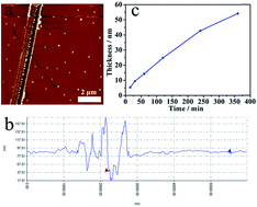 Graphical abstract: A facile approach to control metal superstructure architecture with organic thin films