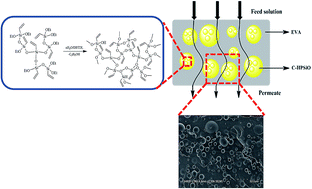 Graphical abstract: Preparation of jujube-cake structure membranes through in situ polymerization of hyperbranched polysiloxane in ethylene-vinyl acetate matrix for separation of ethyl acetate from water