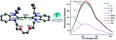 Graphical abstract: An NHC silver(i) macrometallocycle: synthesis, structure and selective recognition of iodide anions