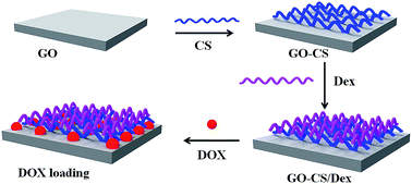 Graphical abstract: Non-covalent modification of graphene oxide nanocomposites with chitosan/dextran and its application in drug delivery