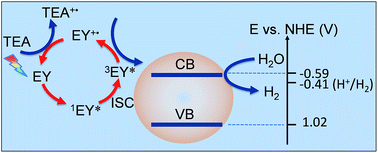 Graphical abstract: In situ preparation of a MOF-derived magnetic carbonaceous catalyst for visible-light-driven hydrogen evolution