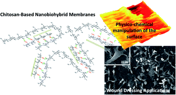 Graphical abstract: Novel chitosan-based nanobiohybrid membranes for wound dressing applications