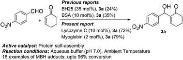 Graphical abstract: Protein self-assembly induces promiscuous nucleophilic biocatalysis in Morita–Baylis–Hillman (MBH) reaction