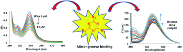 Graphical abstract: Triazine–benzimidazole conjugates: synthesis, spectroscopic and molecular modelling studies for interaction with calf thymus DNA