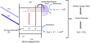 Graphical abstract: Band gap and Schottky barrier engineered photocatalyst with promising solar light activity for water remediation