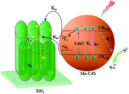 Graphical abstract: Enhanced photocatalytic and photoelectrochemical activity via sensitization and doping of novel TiO2 nanowire/nanoleaf arrays: dual synergistic effects between TiO2–N and CdS–Mn