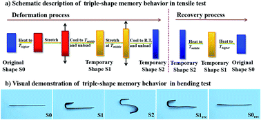 Graphical abstract: Triple-shape memory effects of bismaleimide based thermosetting polymer networks prepared via heterogeneous crosslinking structures