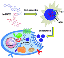 Graphical abstract: Real-time self-tracking of an anticancer small molecule nanodrug based on colorful fluorescence variations