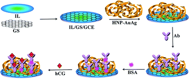 Graphical abstract: A sensitive electrochemical immunosensor for the detection of human chorionic gonadotropin based on a hierarchical nanoporous AuAg alloy