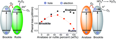 Graphical abstract: The positive effect of anatase and rutile on the brookite-photocatalyzed degradation of phenol