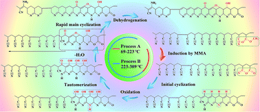 Graphical abstract: New understanding on the reaction pathways of the polyacrylonitrile copolymer fiber pre-oxidation: online tracking by two-dimensional correlation FTIR spectroscopy