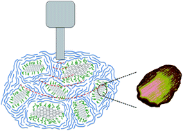 Graphical abstract: Hybridization of graphene sheets with polyethylene terephthalate through the process of in situ polymerization aided by ultrasound