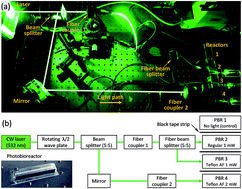 Graphical abstract: Photosynthesis of cyanobacteria in a miniaturized optofluidic waveguide platform