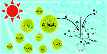 Graphical abstract: Co(dmgH)2pyCl as a noble-metal-free co-catalyst for highly efficient photocatalytic hydrogen evolution over hexagonal ZnIn2S4