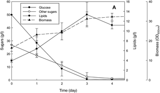 Graphical abstract: Conversion of SPORL pretreated Douglas fir forest residues into microbial lipids with oleaginous yeasts