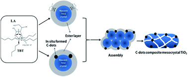 Graphical abstract: Multi-component in situ and in-step formation of visible-light response C-dots composite TiO2 mesocrystals