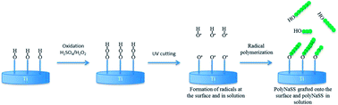 Graphical abstract: Grafting bioactive polymers onto titanium implants by UV irradiation